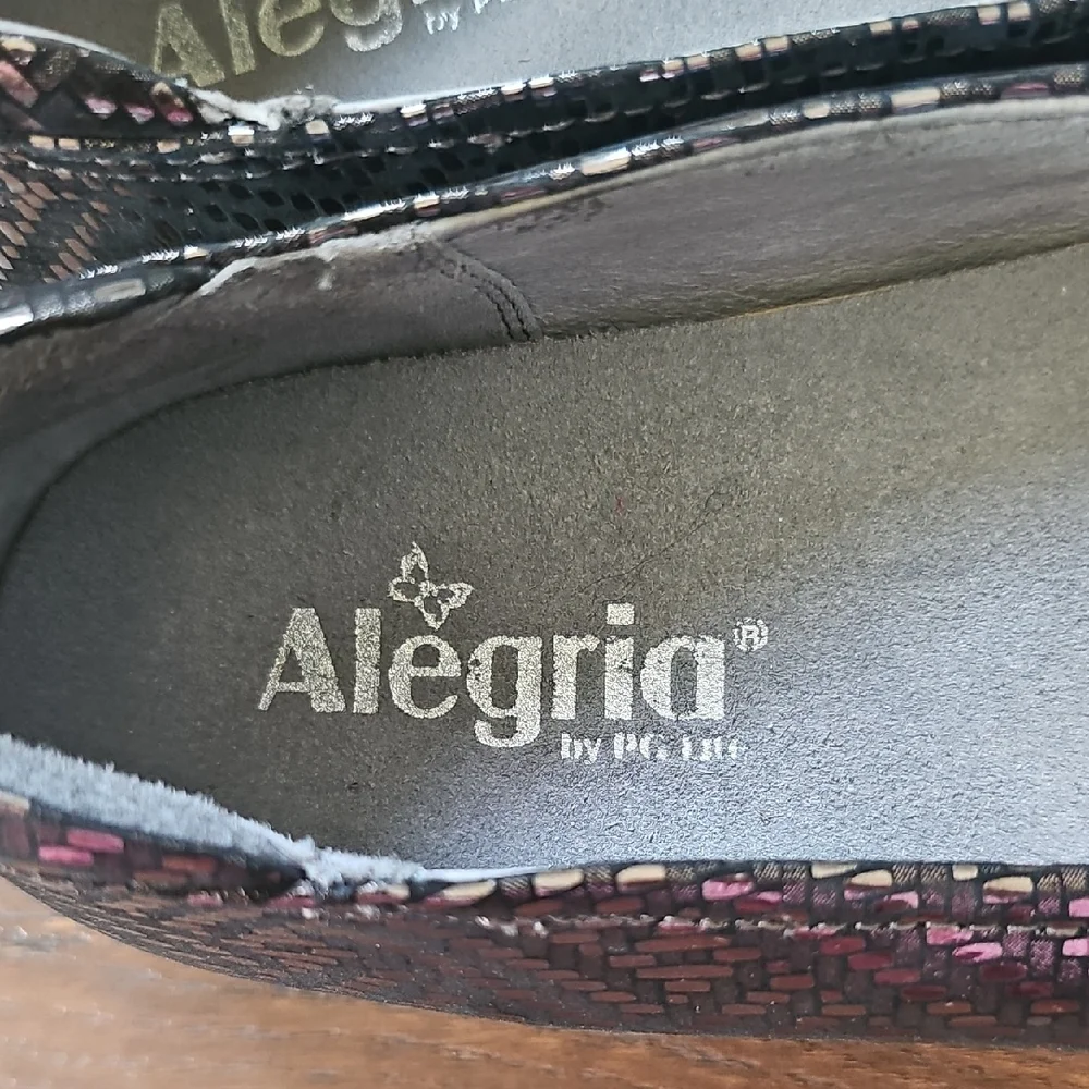 Alegria Iridescent Multi-Color Ballet Flats